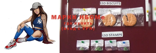 ПСИЛОЦИБИНОВЫЕ ГРИБЫ Баксан