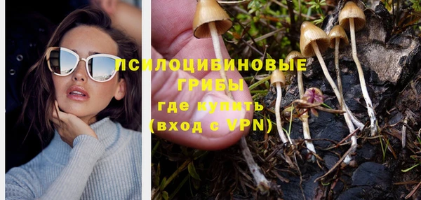 дмт Балахна