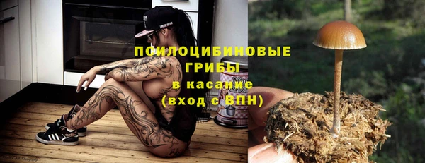 ПСИЛОЦИБИНОВЫЕ ГРИБЫ Баксан