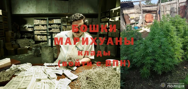 ПСИЛОЦИБИНОВЫЕ ГРИБЫ Баксан