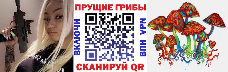 Галлюциногенные грибы GOLDEN TEACHER  Суворов 